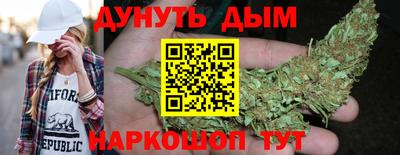 индика Заводоуковск
