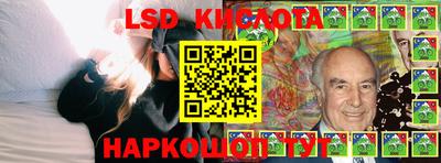 индика Заводоуковск
