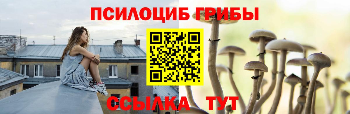 Галлюциногенные грибы ЛСД  Вход с VPN  Гай 